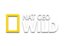 Nat Geo Wild онлайн